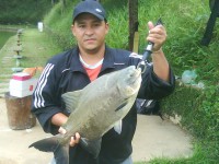 /album/galeria-de-fotos/dsc00524-jpg/