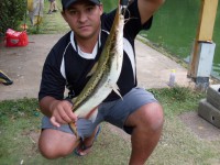 /album/galeria-de-fotos/sdc12594-jpg/